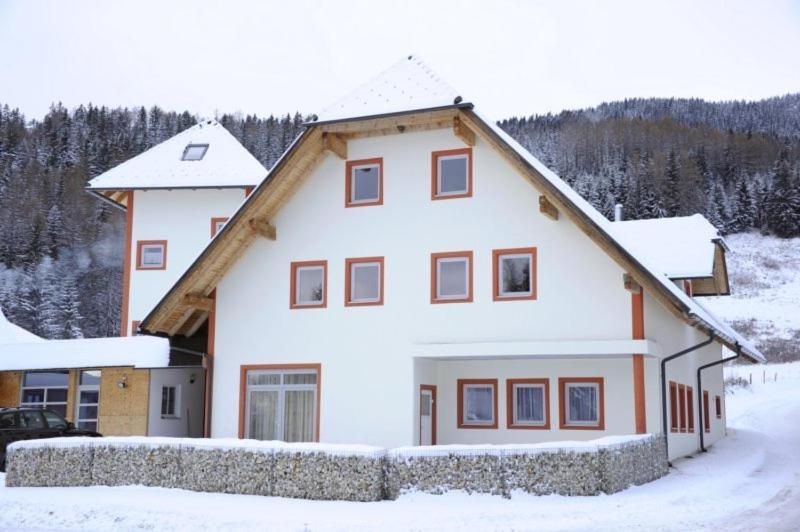 Appartementhaus Hochegg Lachtal Exteriér fotografie